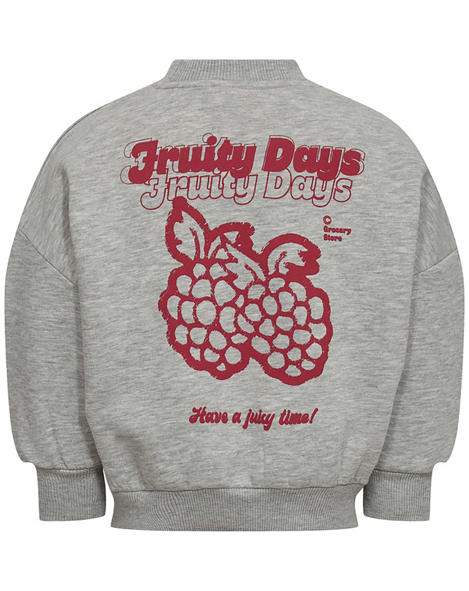 Sweatshirt LETTERING in grey melange