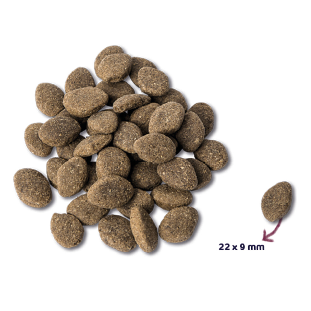 Renske Super Premium Adult Lam Graanvrij12 kg