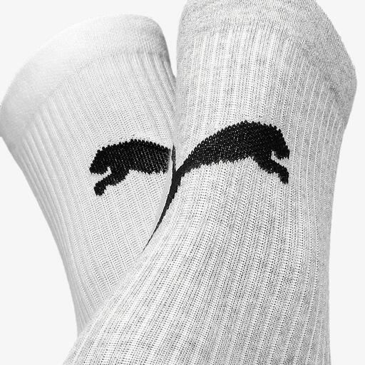 Gato Puma