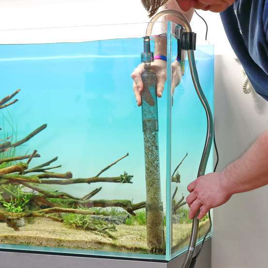 Cloche À Vase Proclean Aqua Ex 45-70