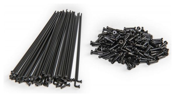 RAYONS ECLAT PG 182mm BLACK (x40)