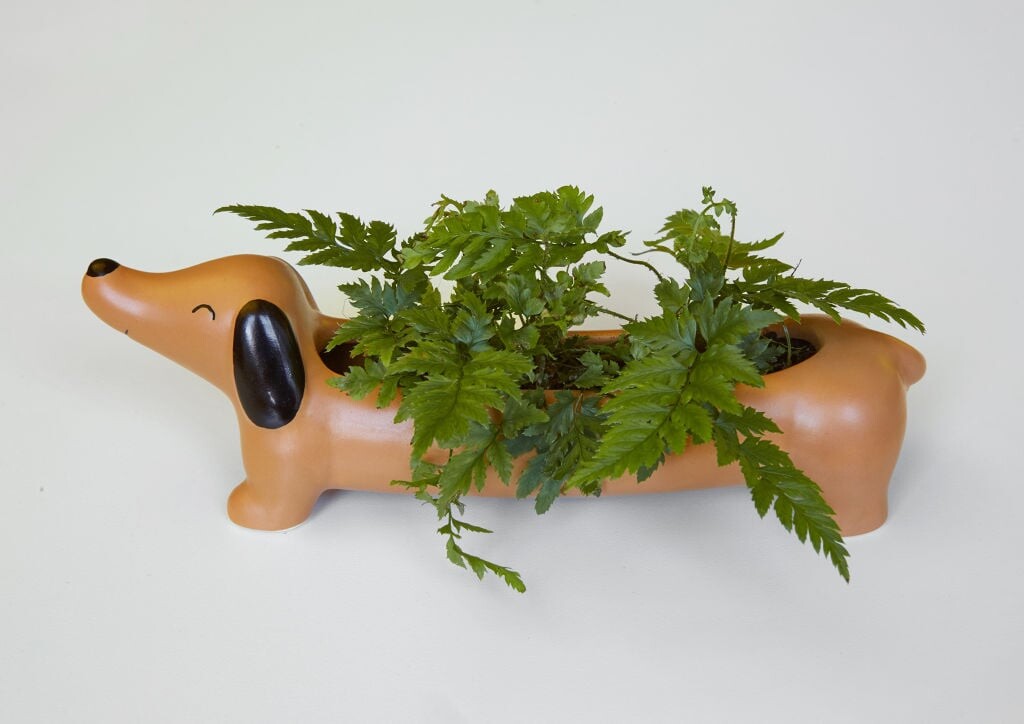 Kikkerland - Hunde Urtepotteskjuler - Daisy The Dachshund - 24X8 CM