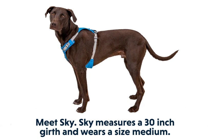 Ruffwear Hi & Light Harness<br>Super lett og komfortabel sele!