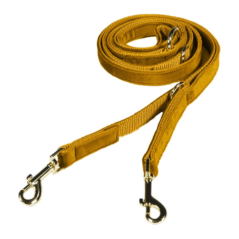 Kentucky VELVET - Laisse pour chien mustard