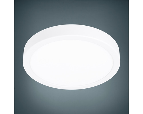 LED buitenplafondlamp 20,5W 2400 lm 3000 K Ø 28,5 cm wit