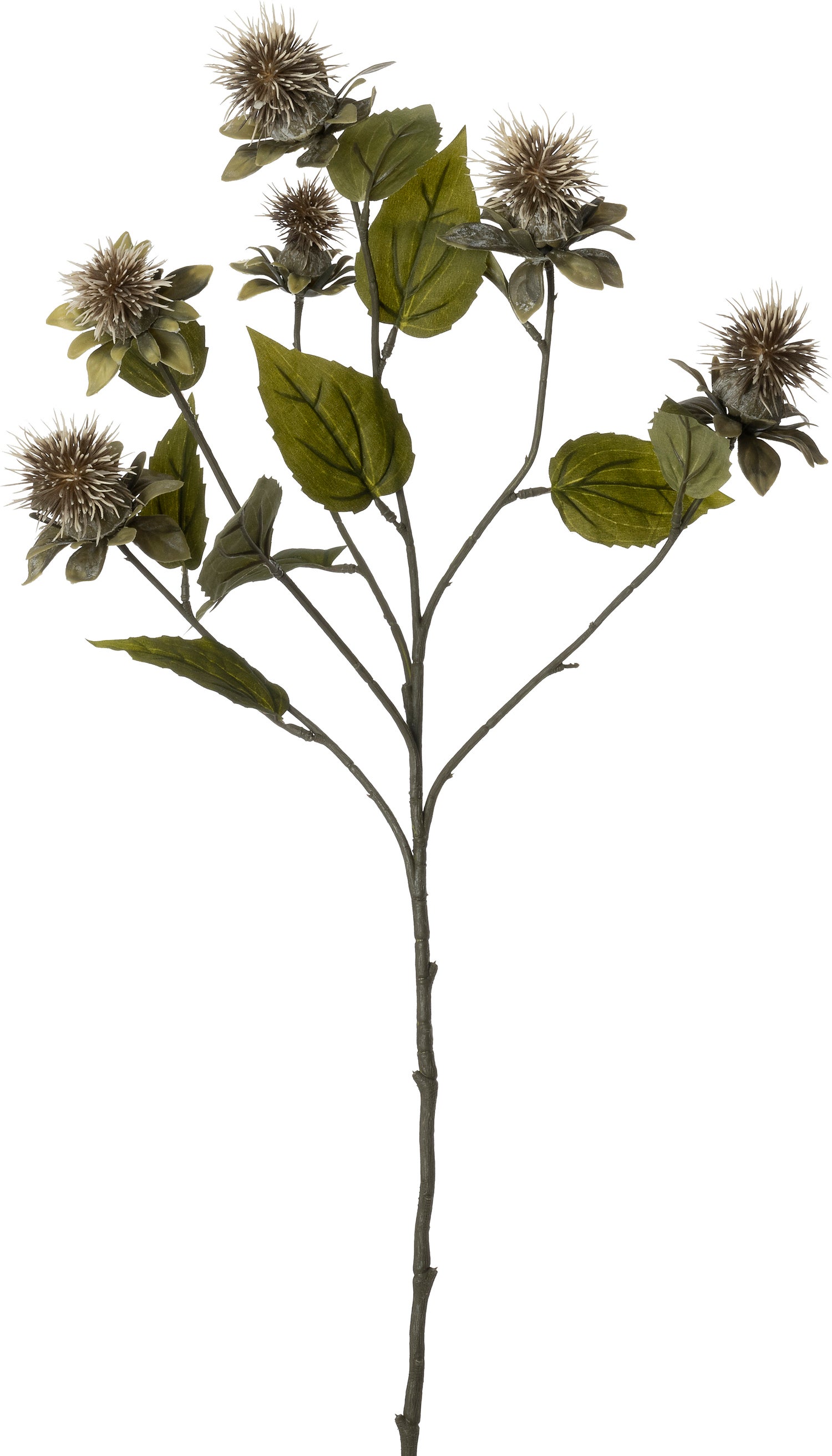 Intratuin kunstbloem Distel crème 79 cm