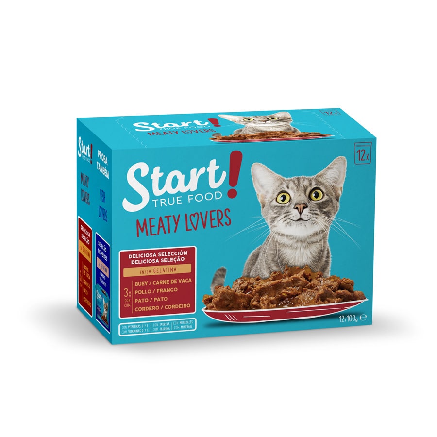 Comece a oferecer uma seleção de carnes para gatos em sachê com gelatina.