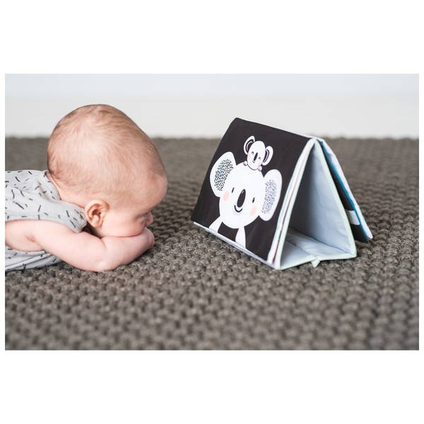 Taf ToysTaf Toys   Koala Babybuch