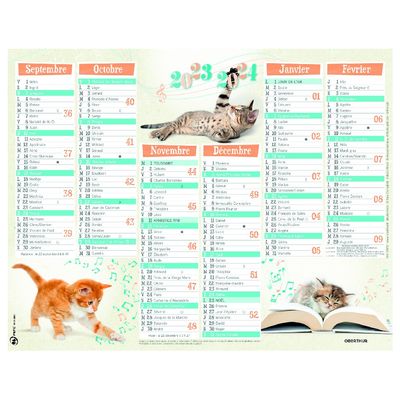 Calendrier Chatons - 7 mois par face - 21 x 26,5 cm - Oberthur