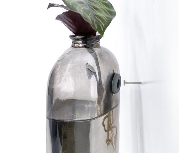 Waterplant-Set Wandhänger, 2-teilig