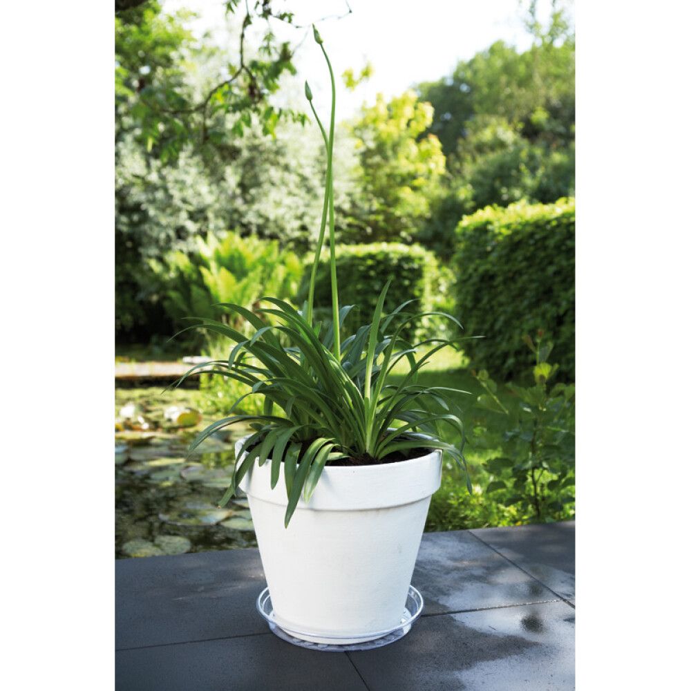 BLOMSTERSKÅL ELHO UNI-SOUCER ROUND 14CM TRANSPARENT
