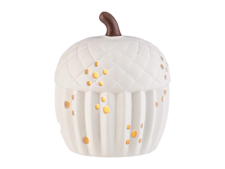 Herfst decoratie met LED