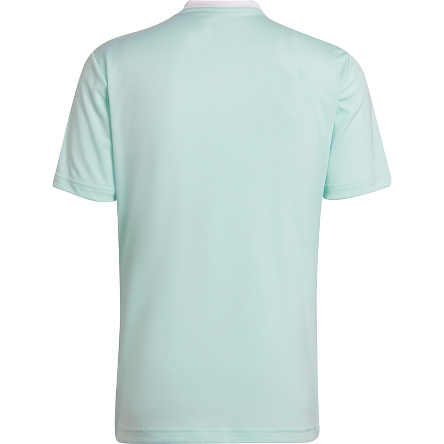 adidas Entrada 22 Training Shirt