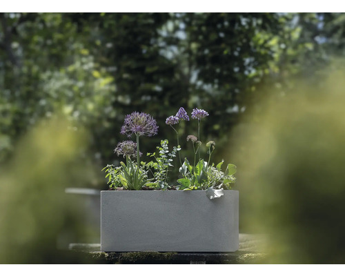 Geli Cube bloempot, kunststof bak, 60x25x26 cm, licht