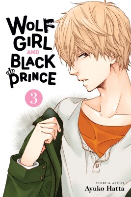 Wolf Girl and Black Prince, Vol. 3 - Wolf Girl and Black Prince 3 (Paperback)