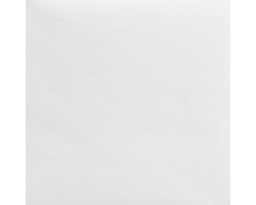 LECO Schildersglasvlies 3565010080 PLUS voorgegrond 130 g/m² 50 m x 1 m