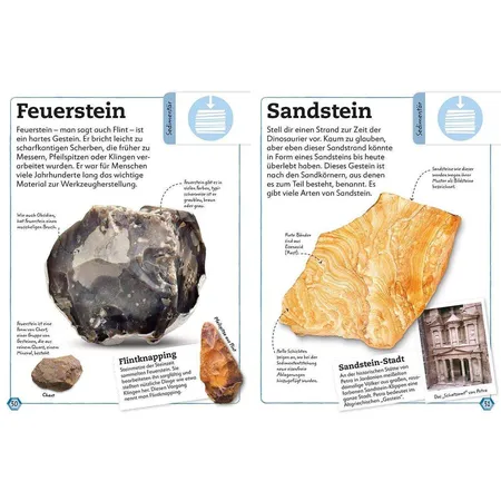 DK Verlag Steine und Mineralien: Entdecken, sammeln und bestimmen