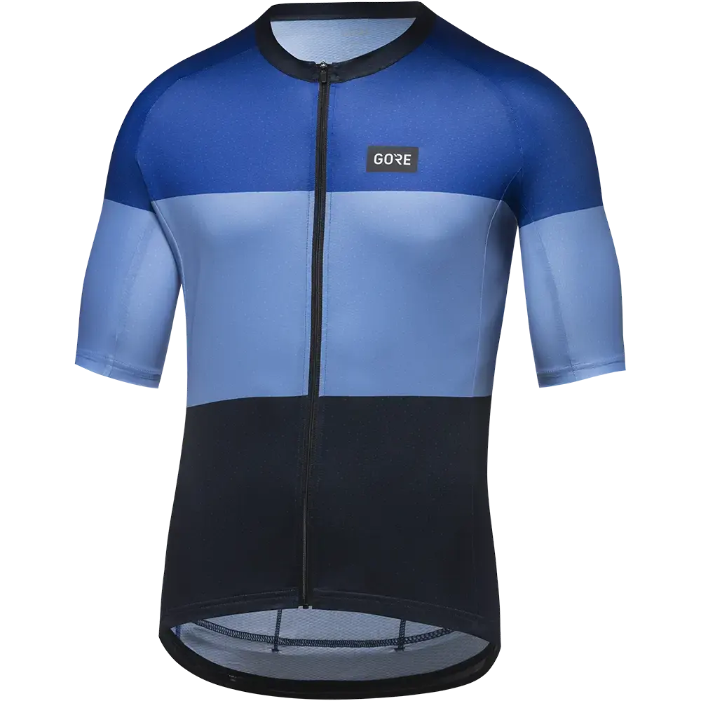 GORE Wear Spirit Stripes Fietsshirt Korte Mouwen Blauw/Blauw Heren