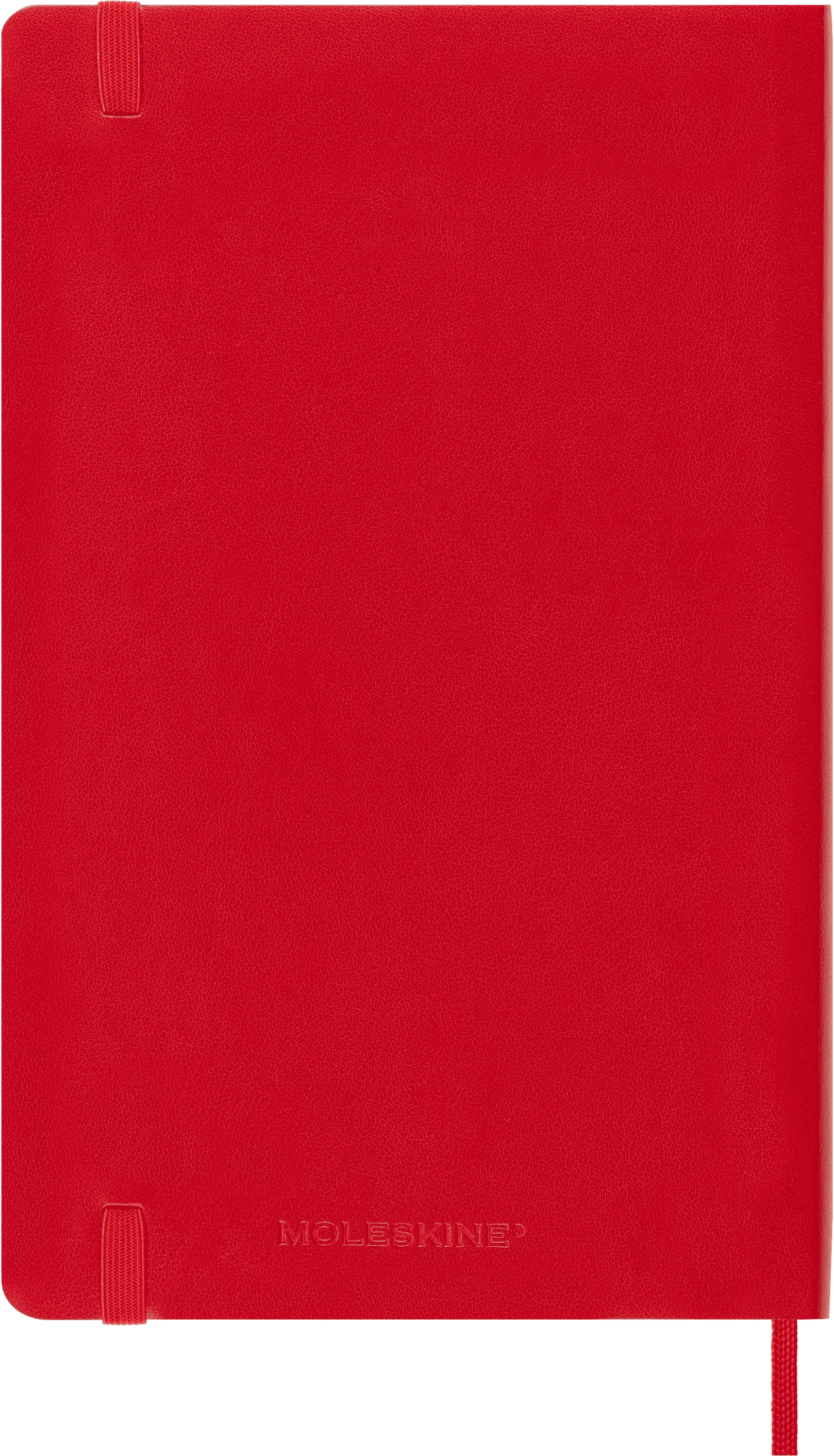 Classic Planner 2025 Large Daily, soft cover, 12 months