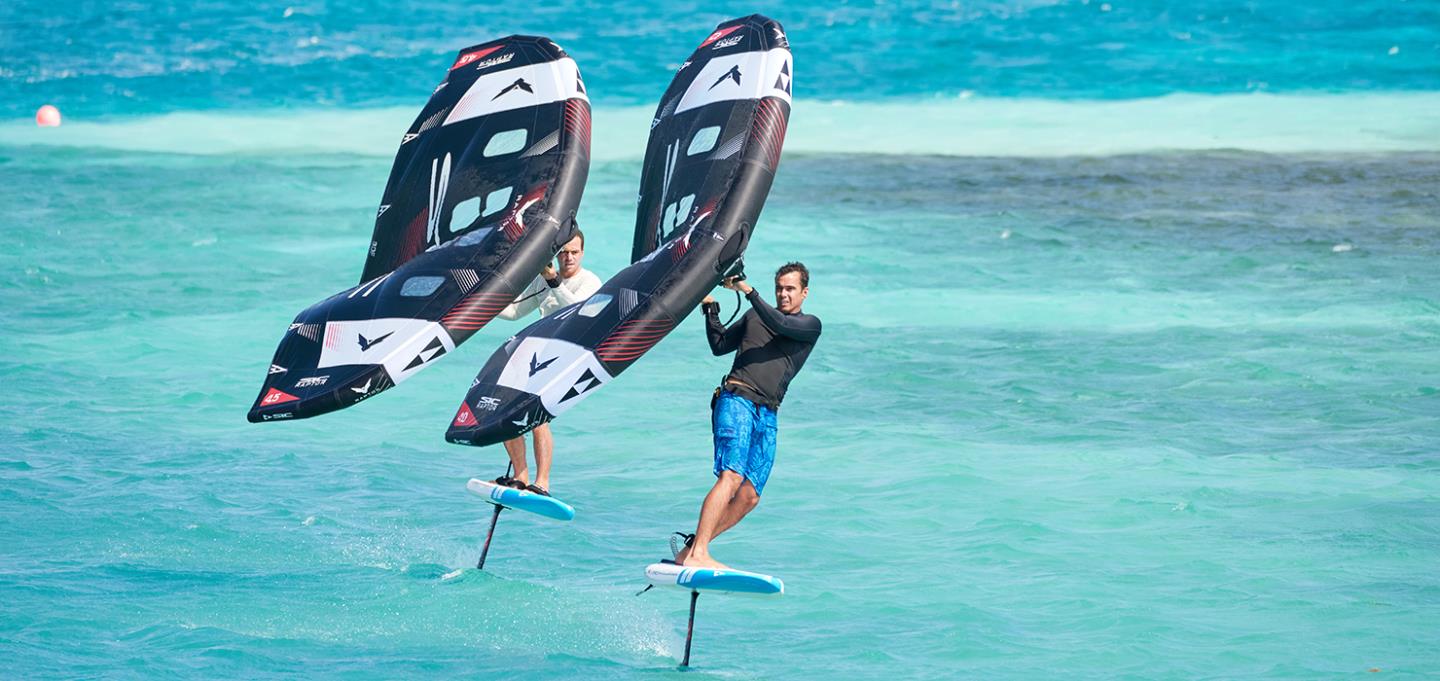 SIC Raptor Wing - v3 2.5 m²