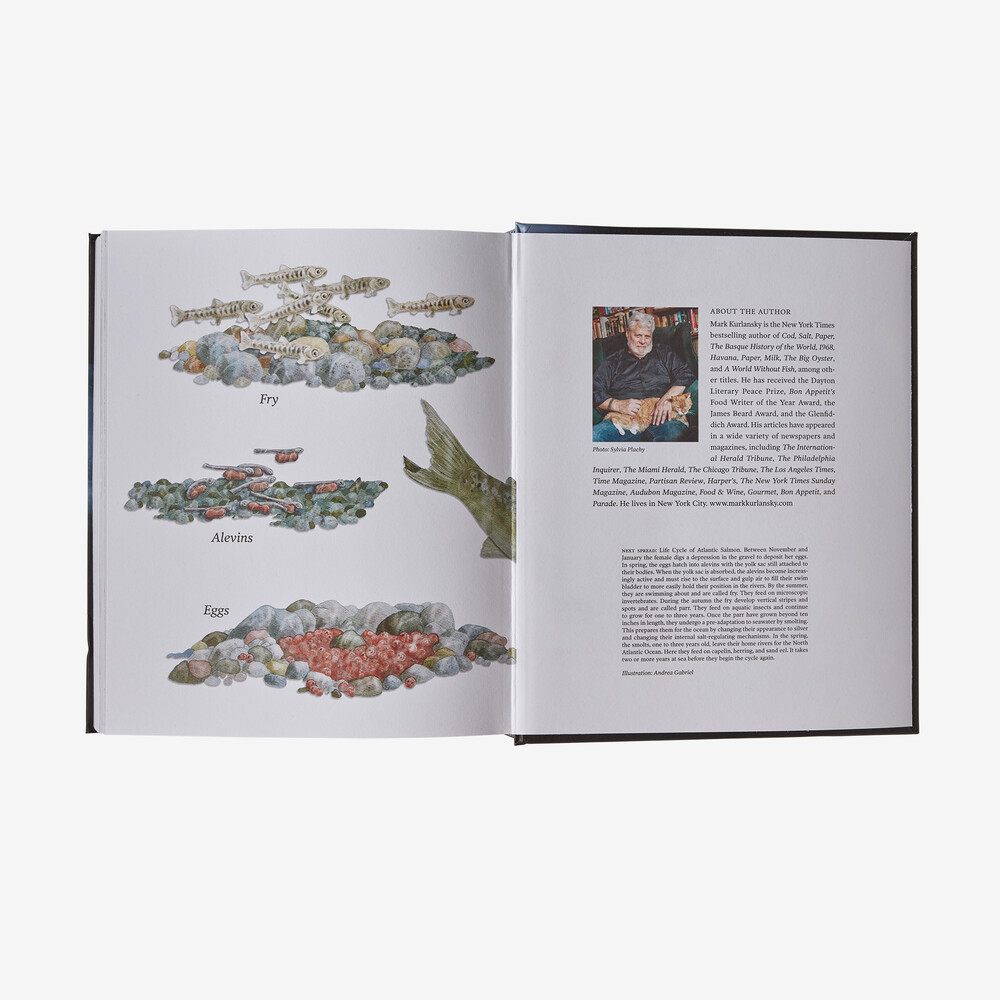 Lachs: Ein Fisch, die Erde und die Geschichte ihres gemeinsamen Schicksals (gebundenes Buch, erschienen bei Patagonia)