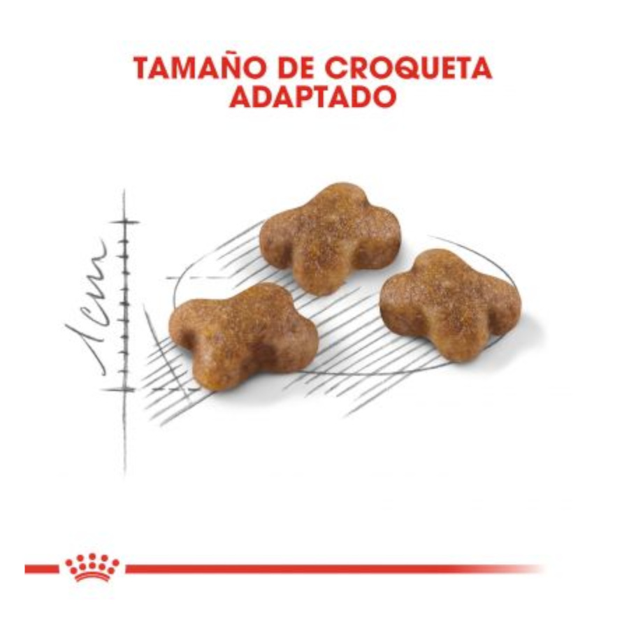 Ração para gatos Royal Canin Kitten