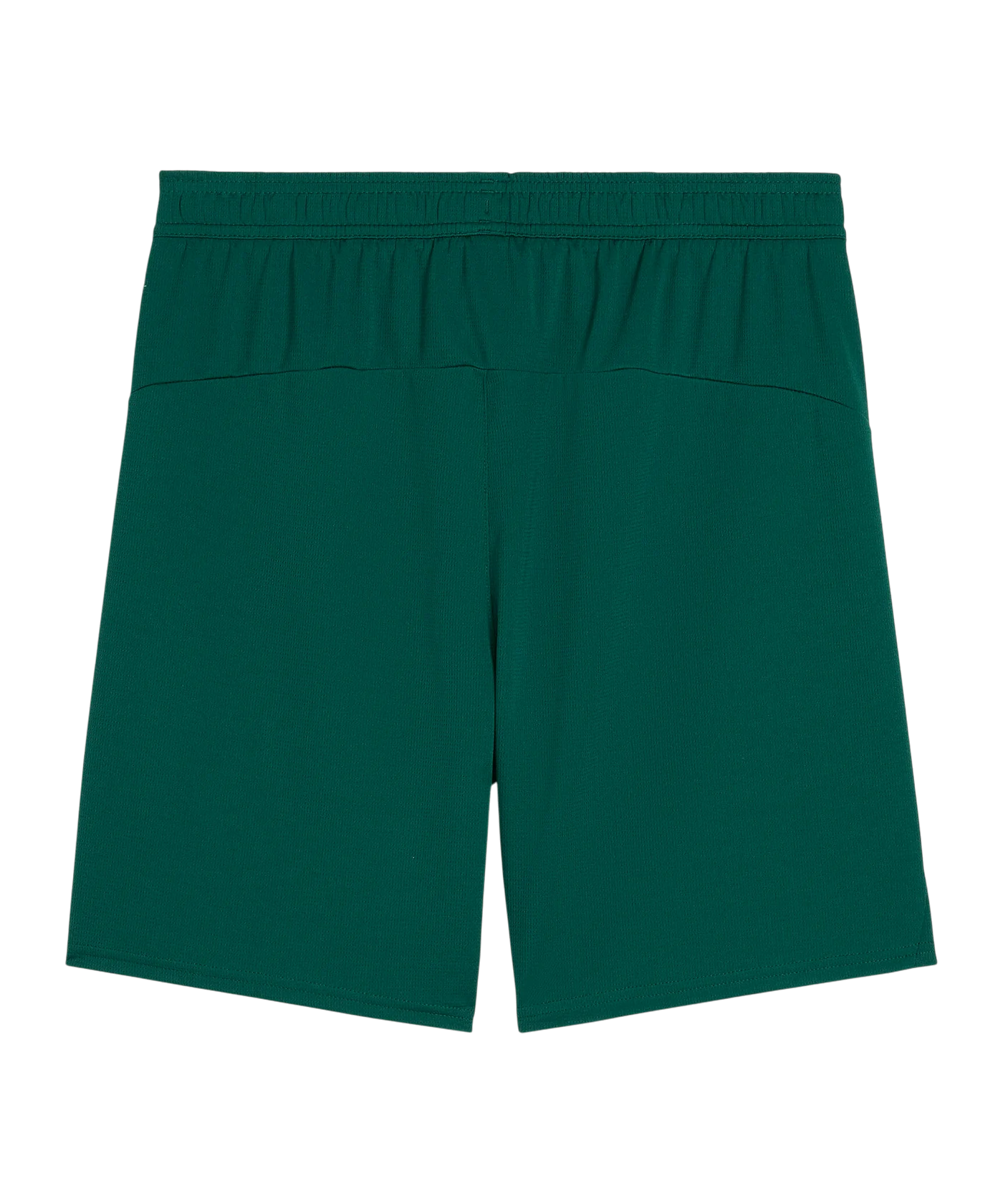 PUMA Portugal Short Grün F10
