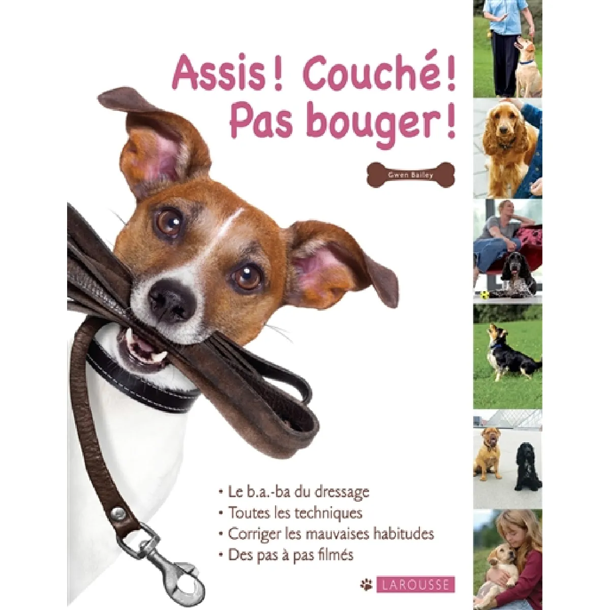 Assis ! Couché ! Pas bouger ! · Occasion