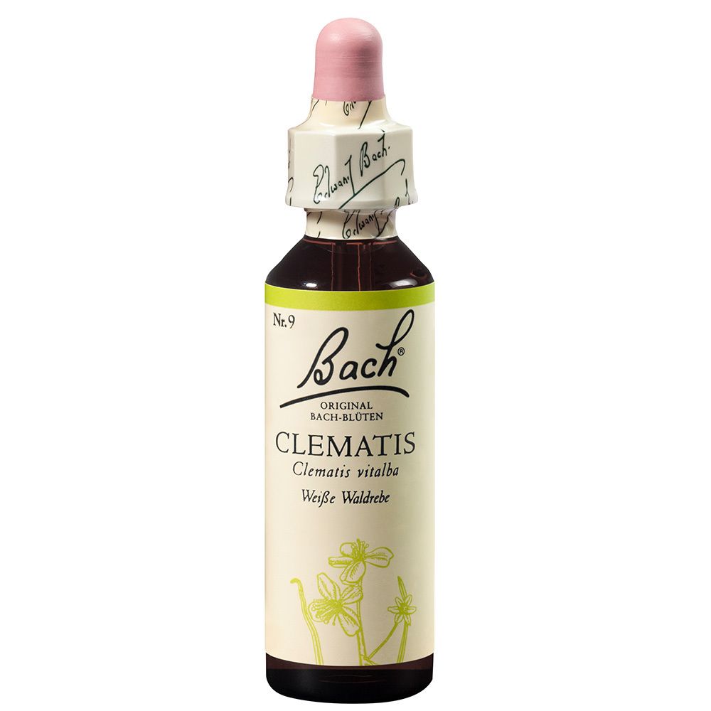 BACH®-BLÜTE CLEMATIS (Weiße Waldrebe)