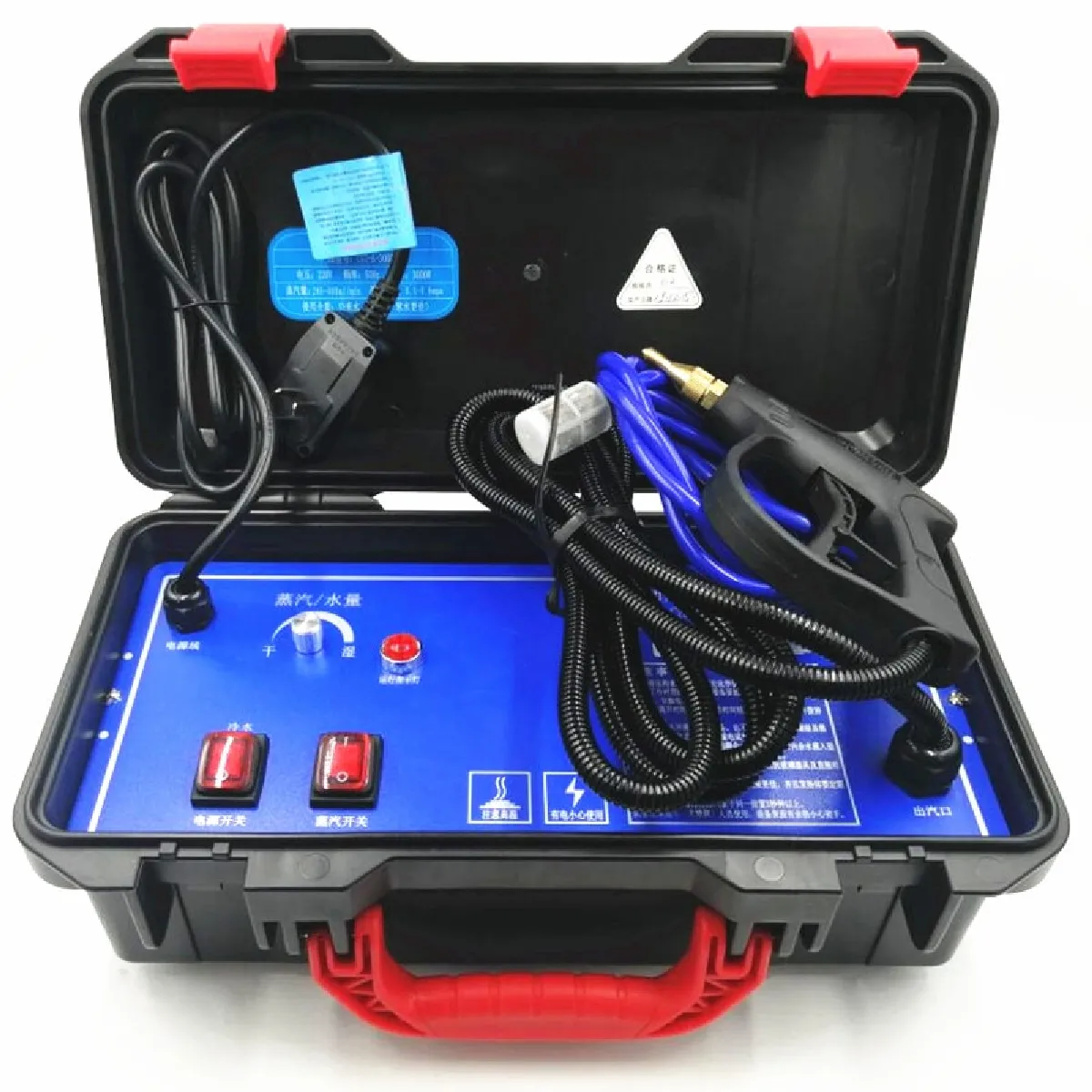 Universal Nettoyeur vapeur 110V 220V