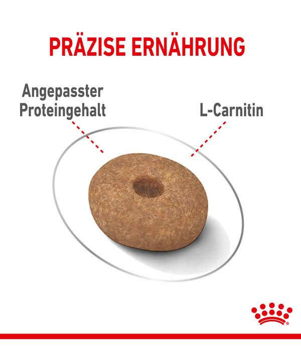 ROYAL CANIN® Trockenfutter für Hunde Light