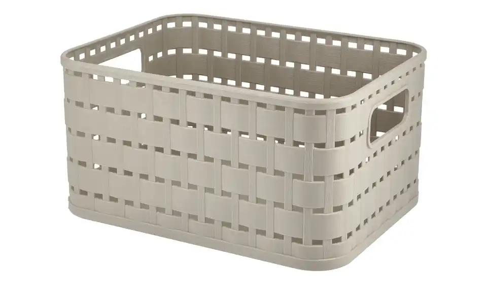 Rotho Aufbewahrungsbox 13,7 cm