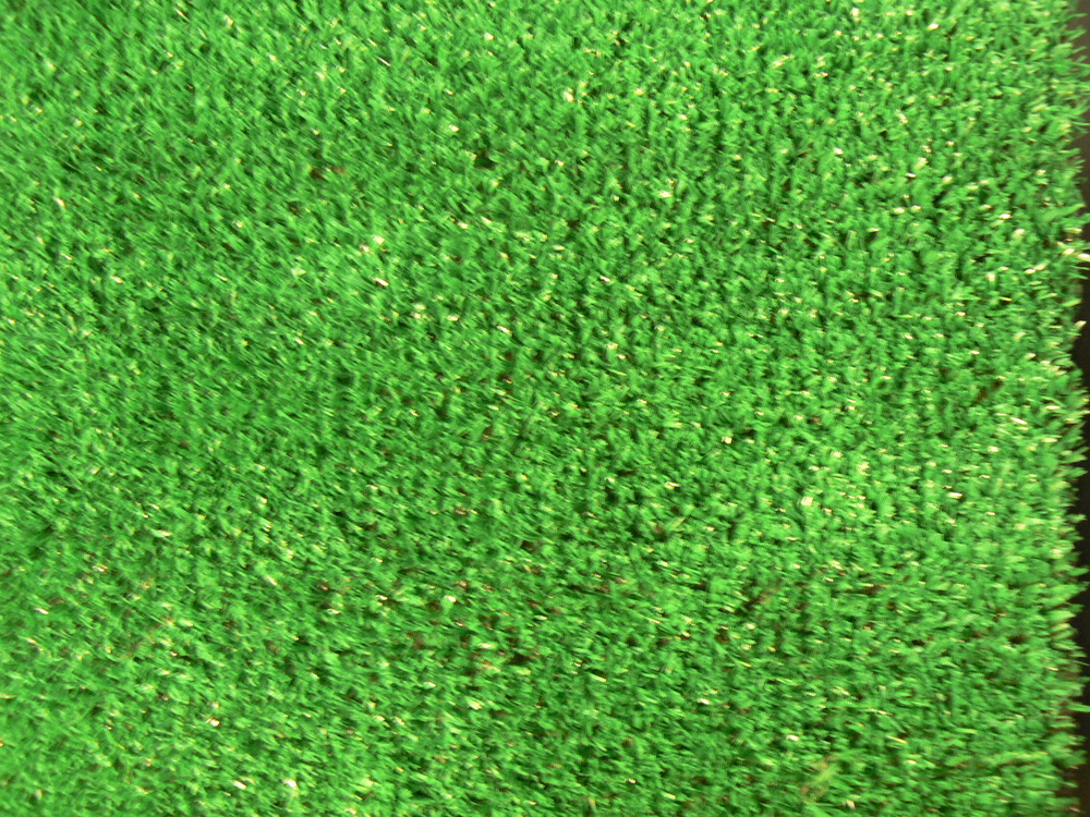 Gazon artificiel sierra 1er prix - 10mm - 1x25m