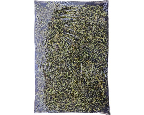 Decoratief mos, plaatmos, 200g, groen