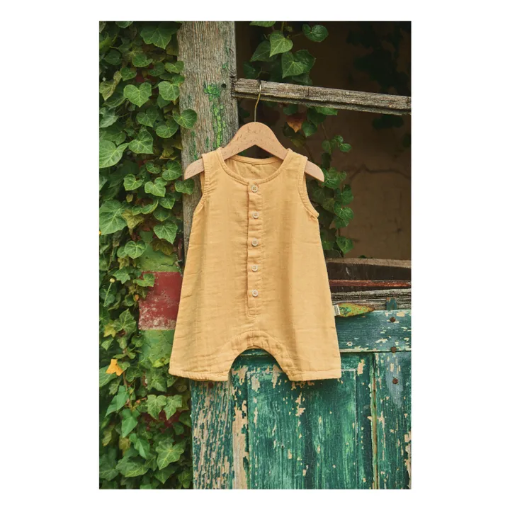 Poudre Organic Combishort Poivre Boutonnée | Miel