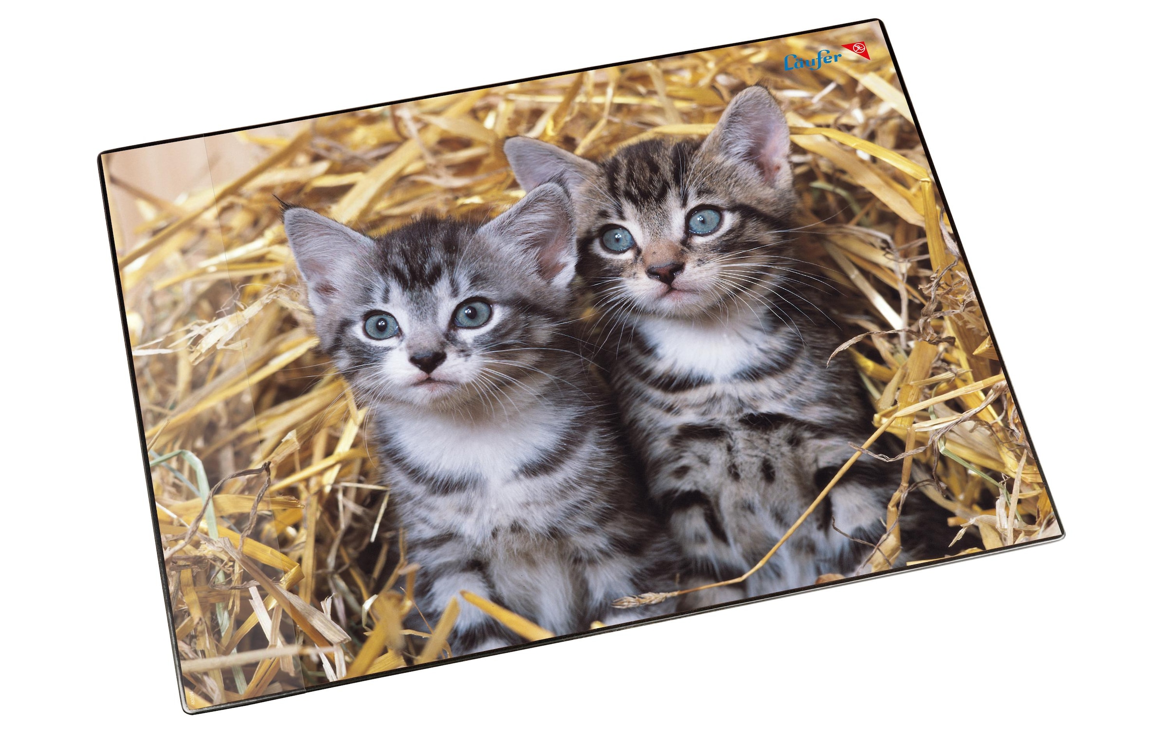 Schreibtischunterlage »Läufer, Katzen im Stroh«