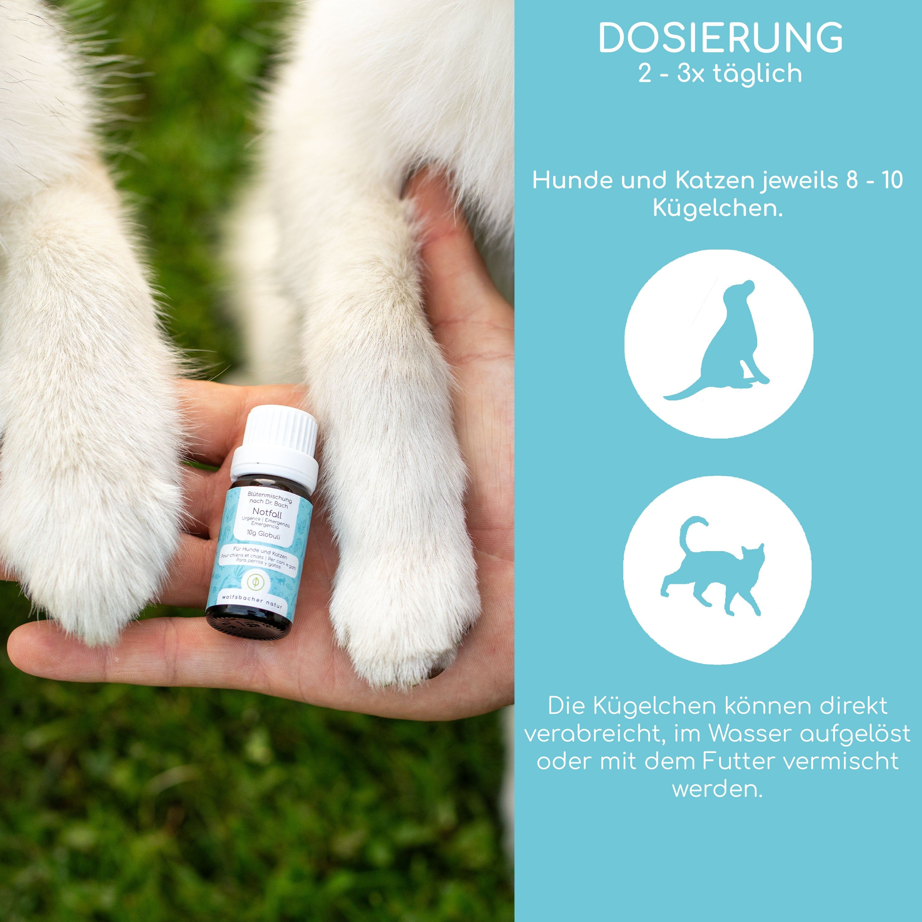 Wolfsbacher Natur Bachblüten Notfall