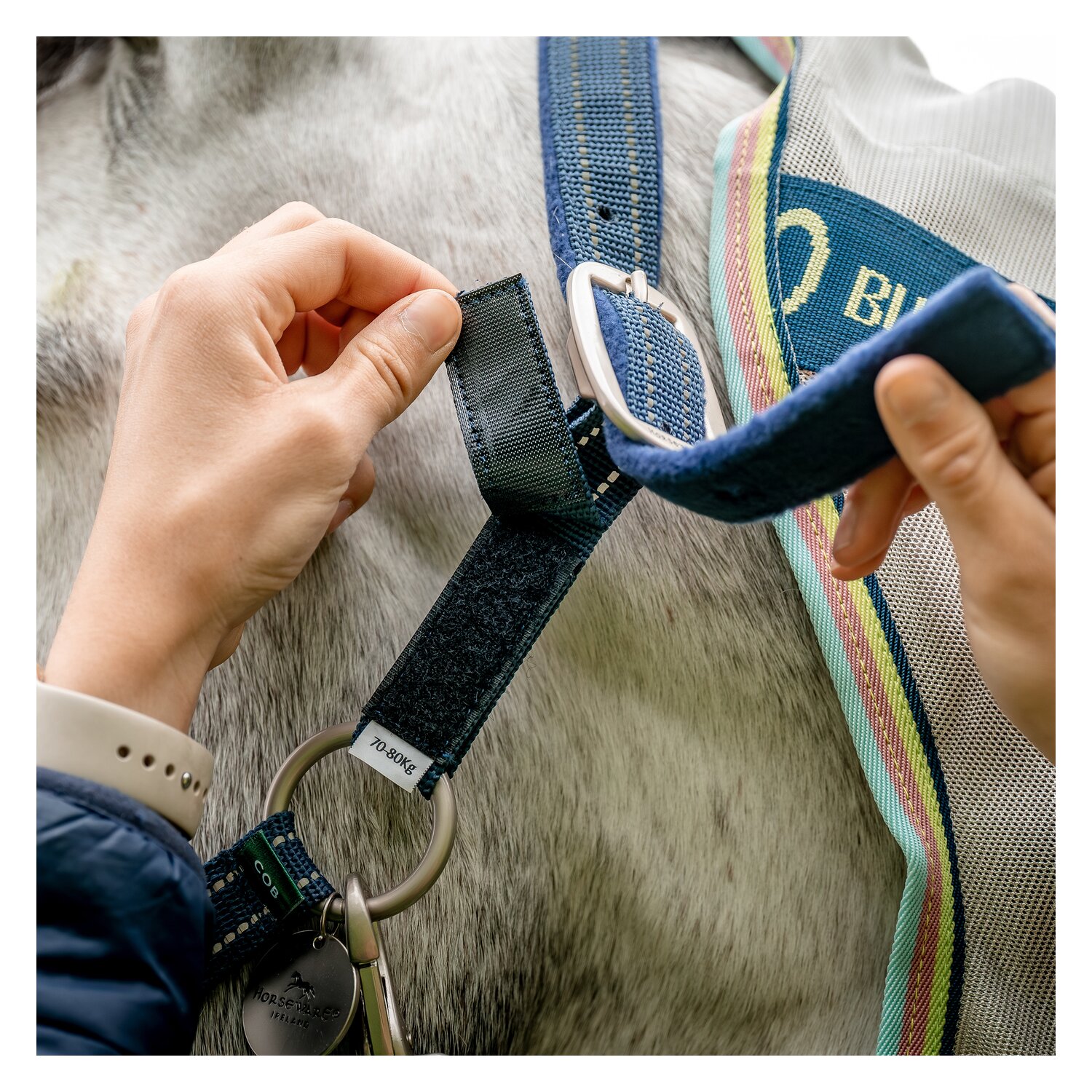 HORSEWARE Halfter Fieldsafe  - navy