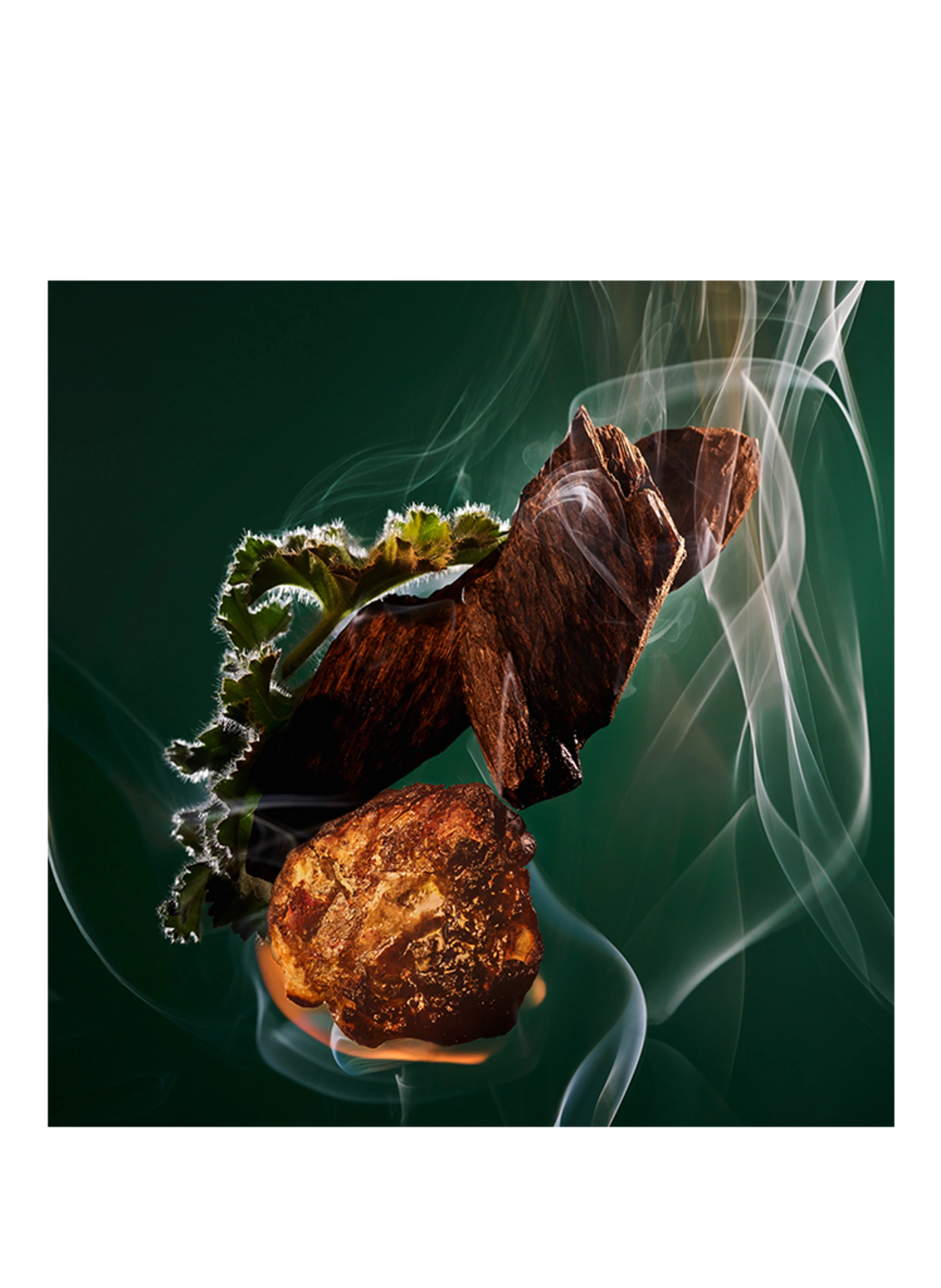 BVLGARI Fragrances LE GEMME KOBRAA