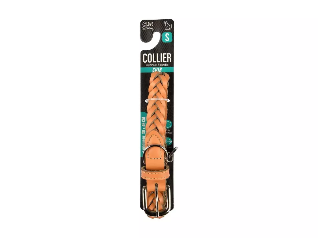 Collier pour Chien Réglable 