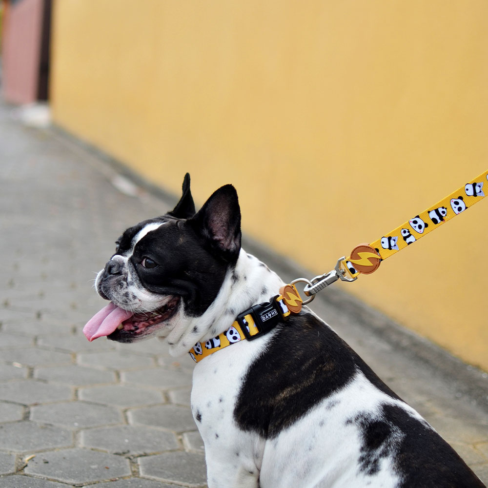 Guia para cães Snooze em poliéster, várias cores