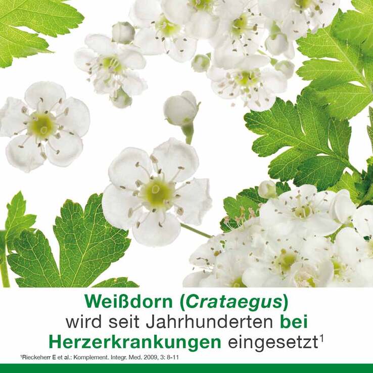 cratae-Loges 450 mg Weißdorn Filmtabletten, 50 St