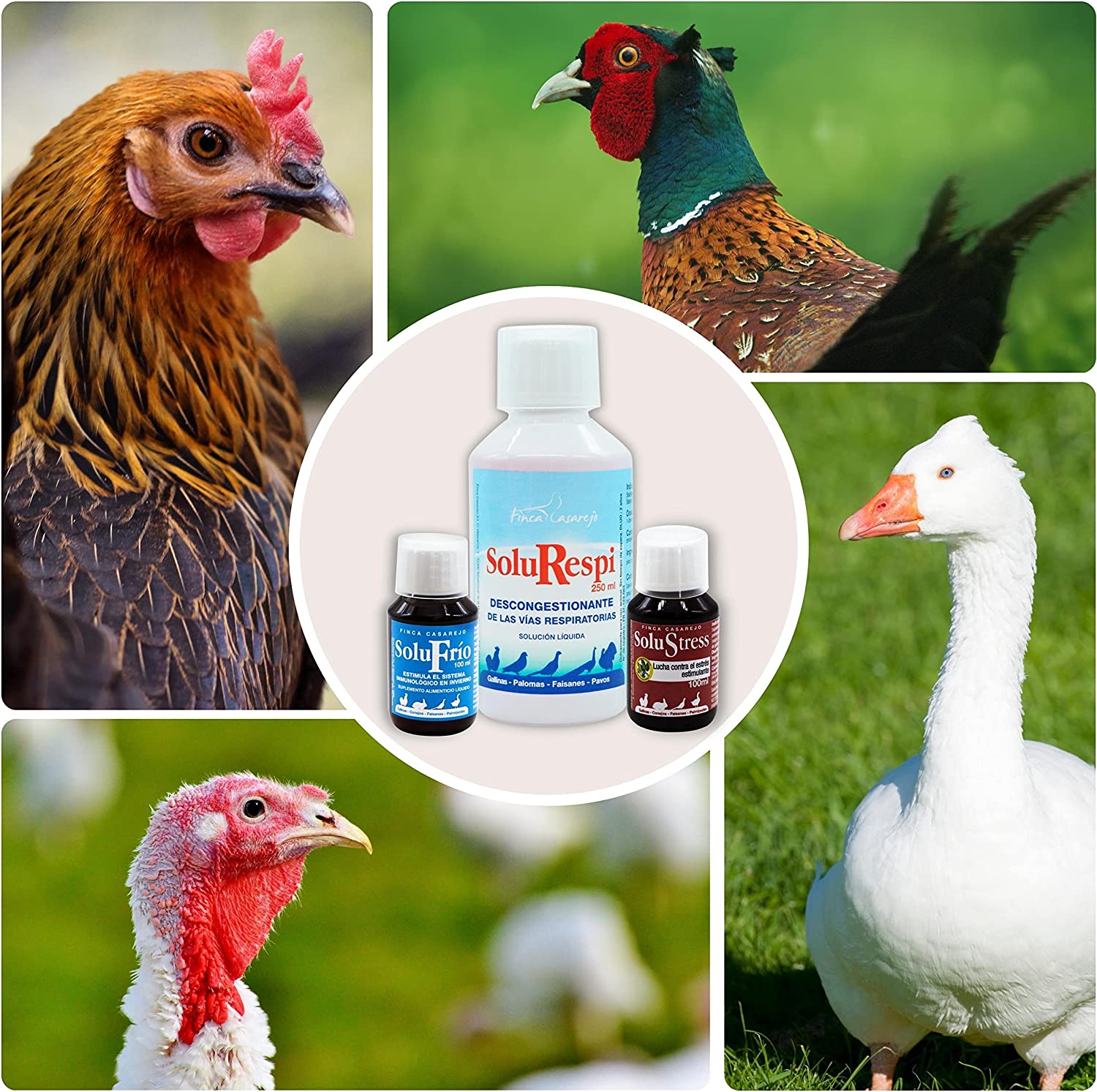 Pacote de produtos naturais Finca Casarejo para aves no combate a resfriados.