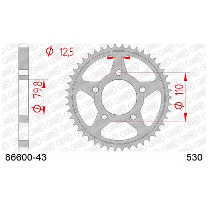 Kit chaine AFAM 530 Type Acier