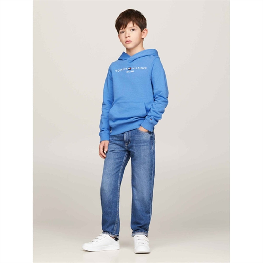 Køb Tommy Hilfiger Essential Hættetrøje Blue Spell