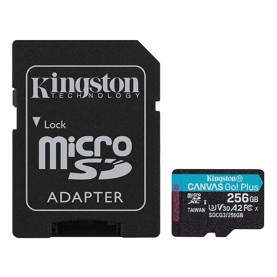 Kingston Canvas Go! Plus SDCG3/256GB