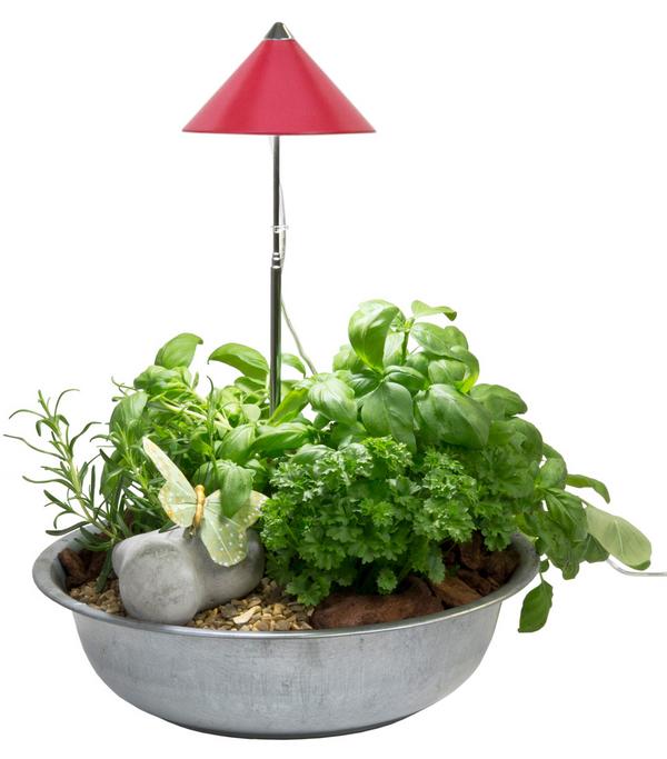 Venso LED-Pflanzenlampe