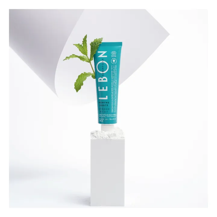 Lebon Dentifrice menthe forte Essentiels - 80 ml