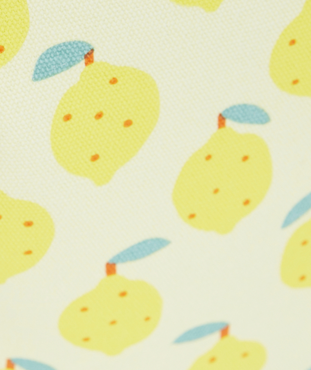 MAISON PETIT JOURTROUSSE LES CITRONS