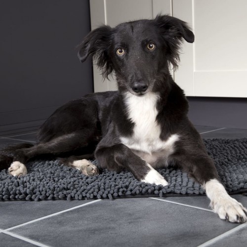 Tapete cinza para cães, ideal para casa e carro.